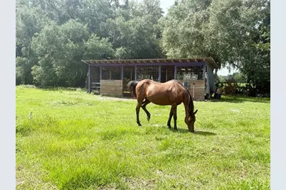 7589 Cr 763, Bushnell, FL 33513 - Photo 43