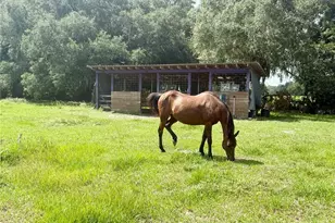 7589 Cr 763, Bushnell, FL 33513 - Photo 43