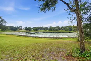 38700 Lakeview Dr, Lady Lake, FL 32159 - Photo 11