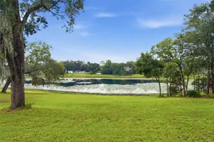 38700 Lakeview Dr, Lady Lake, FL 32159 - Photo 3