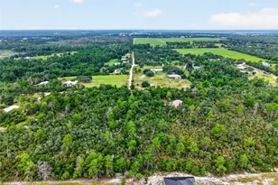 20241 Saltsdale Rd, Umatilla, FL 32784 - Photo 35
