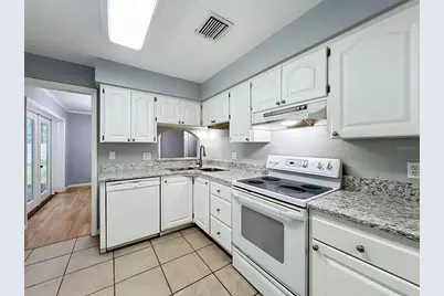 300 Pinecrest Road, Mount Dora, FL 32757 - Photo 9