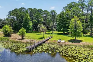 39411 County Rd 439, Umatilla, FL 32784 - Photo 73