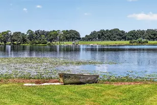 39411 County Rd 439, Umatilla, FL 32784 - Photo 3