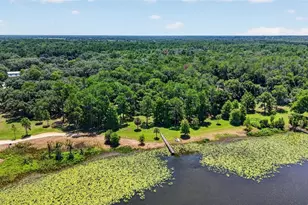 39411 County Rd 439, Umatilla, FL 32784 - Photo 81