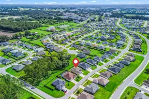 3286 Dzuro Dr, Oxford, FL 34484 - Photo 47