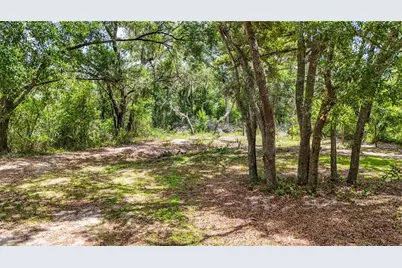 24307 Adair Avenue, Sorrento, FL 32776 - Photo 41
