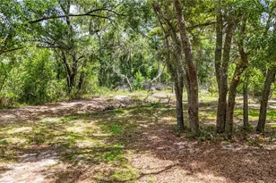 24307 Adair Ave, Sorrento, FL 32776 - Photo 41