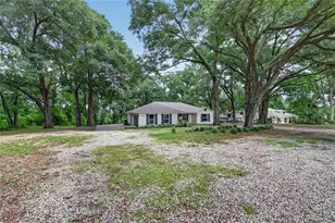 24307 Adair Ave, Sorrento, FL 32776 - Photo 39