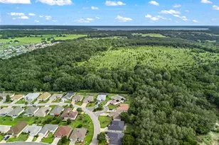 17879 SE 125th Cir, Summerfield, FL 34491 - Photo 45
