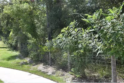 31328 Sand Lake Drive, Mount Dora, FL 32757 - Photo 7