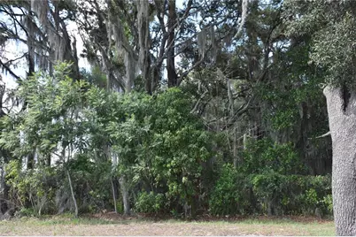 31328 Sand Lake Drive, Mount Dora, FL 32757 - Photo 11