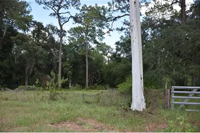 31328 Sand Lake Drive, Mount Dora, FL 32757 - Photo 3