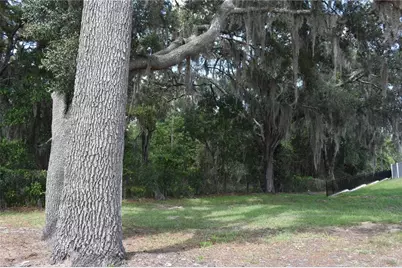 31328 Sand Lake Drive, Mount Dora, FL 32757 - Photo 9
