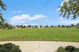 33571 Sky Blossom Cir, Leesburg, FL 34788 - Photo 53