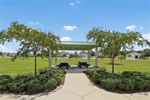 33571 Sky Blossom Cir, Leesburg, FL 34788 - Photo 51