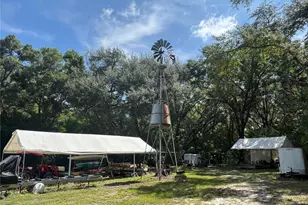 16161 SE 137th Ct, Weirsdale, FL 32195 - Photo 5