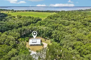 16161 SE 137th Ct, Weirsdale, FL 32195 - Photo 3