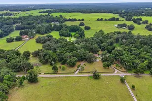 5025 Baseball Pond Rd, Brooksville, FL 34602 - Photo 29