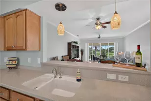 2416 Bar Harbor, Mount Dora, FL 32757 - Photo 17