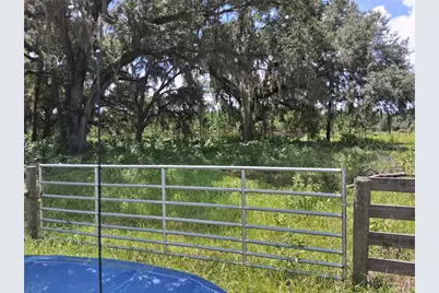 409 County Road 542E, Bushnell, FL 33513 - Photo 3