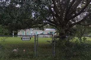 40449 Holly Branch Rd, Eustis, FL 32736 - Photo 3