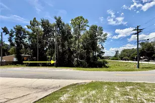 Lot 14 State Road 44, Eustis, FL 32726 - Photo 1