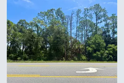 Lot 13 State Road 44, Eustis, FL 32726 - Photo 1