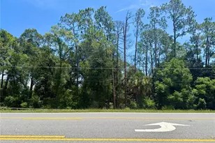 Lot 13 State Road 44, Eustis, FL 32726 - Photo 1