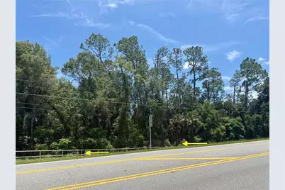Lot 13 State Road 44, Eustis, FL 32726 - Photo 3