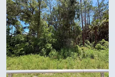 Lot 13 State Road 44, Eustis, FL 32726 - Photo 7