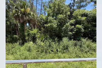 Lot 13 State Road 44, Eustis, FL 32726 - Photo 9