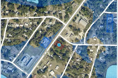 Lot 13 State Road 44, Eustis, FL 32726 - Photo 5