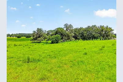 Tbd Trilby Cemetery Road, Dade City, FL 33523 - Photo 11