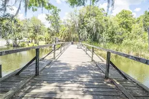 2886 N C 470, Lake Panasoffkee, FL 33538 - Photo 61