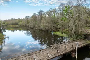 2886 N C 470, Lake Panasoffkee, FL 33538 - Photo 33