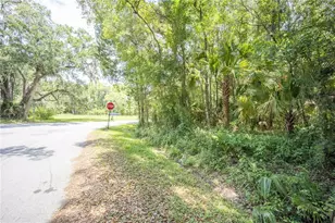 2886 N C 470, Lake Panasoffkee, FL 33538 - Photo 51