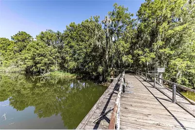 2886 N C 470, Lake Panasoffkee, FL 33538 - Photo 7
