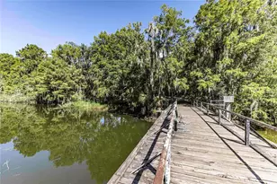 2886 N C 470, Lake Panasoffkee, FL 33538 - Photo 7