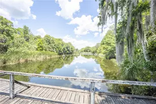 2886 N C 470, Lake Panasoffkee, FL 33538 - Photo 69