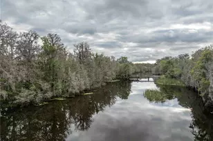 2886 N C 470, Lake Panasoffkee, FL 33538 - Photo 37