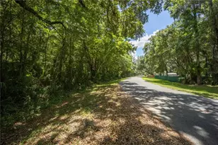 2886 N C 470, Lake Panasoffkee, FL 33538 - Photo 49