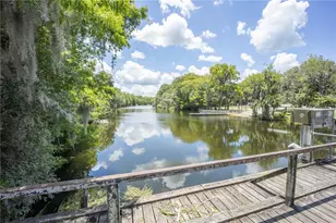 2886 N C 470, Lake Panasoffkee, FL 33538 - Photo 71