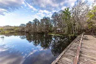 2886 N C 470, Lake Panasoffkee, FL 33538 - Photo 45