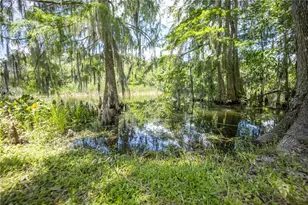 2886 N C 470, Lake Panasoffkee, FL 33538 - Photo 81