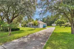 19965 NW 257th Terrace, High Springs, FL 32643 - Photo 5