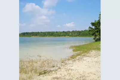11025 SE 132nd Place, Ocklawaha, FL 32179 - Photo 33