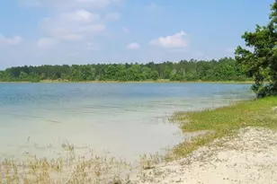 11025 SE 132nd Pl, Ocklawaha, FL 32179 - Photo 33