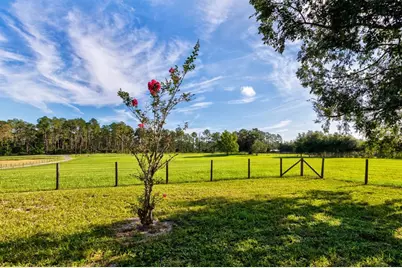 24948 Walkabout Ranch Road, Sorrento, FL 32776 - Photo 5