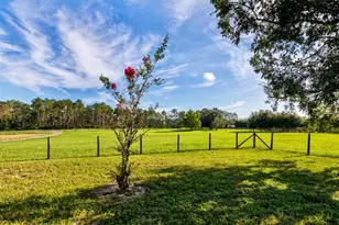 24948 Walkabout Ranch Rd, Sorrento, FL 32776 - Photo 5